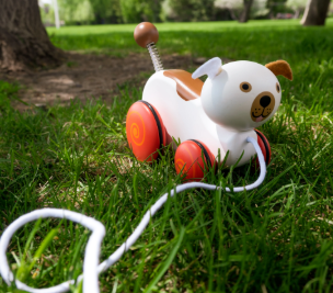 Wiggles The Dog Pull Toy