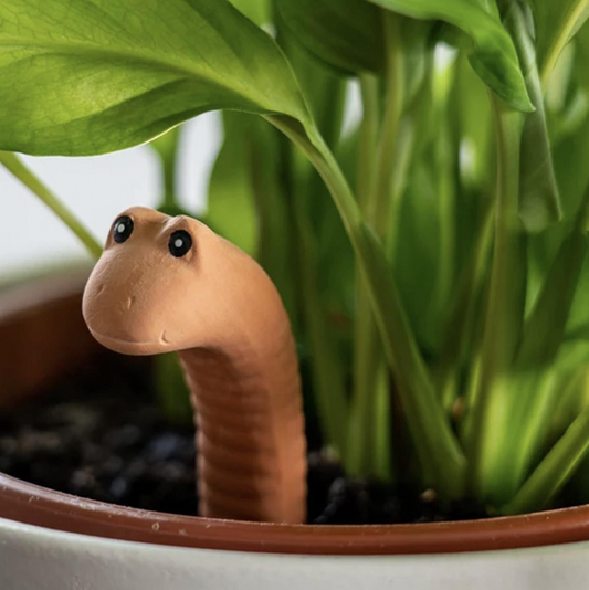 Water Worm