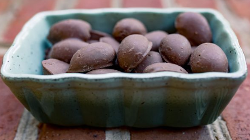 Milk Chocolate Covered Pecans