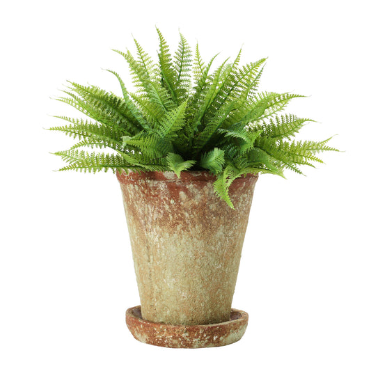 Cement Planter with Saucer