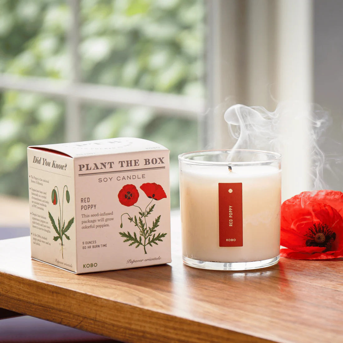 Red Poppy Plant the Box Candle