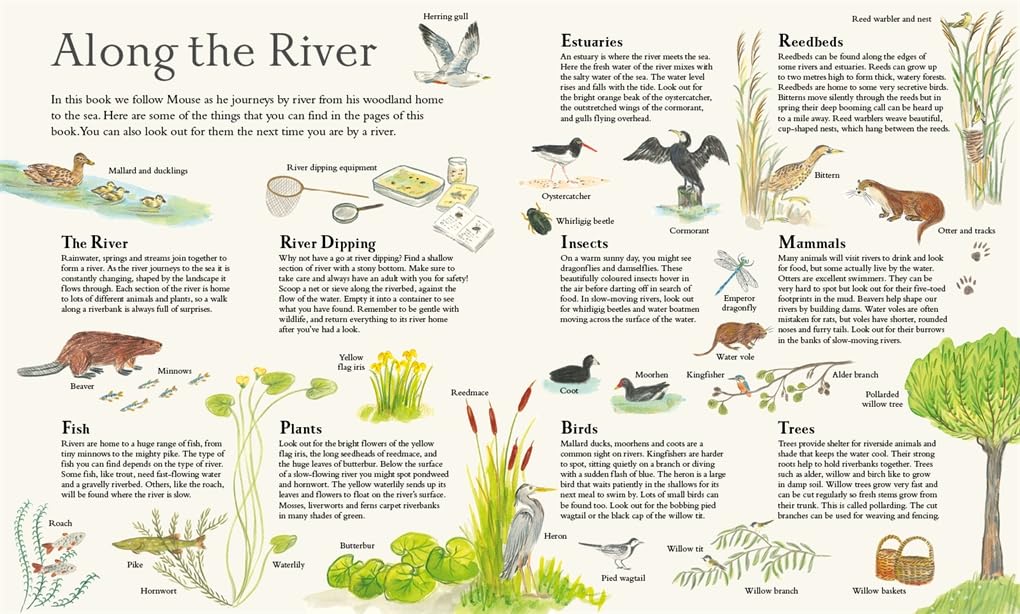 Mouse on the River