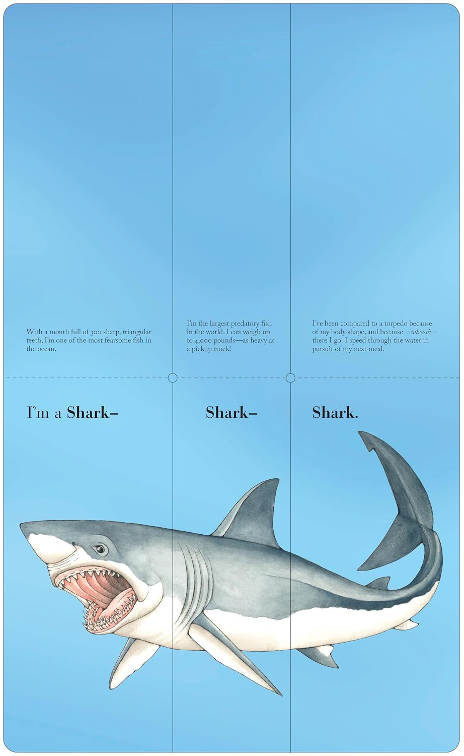 Flip-A-Fin