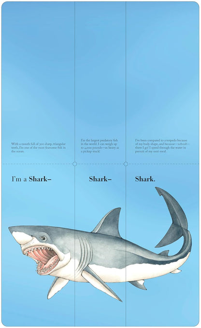 Flip-A-Fin