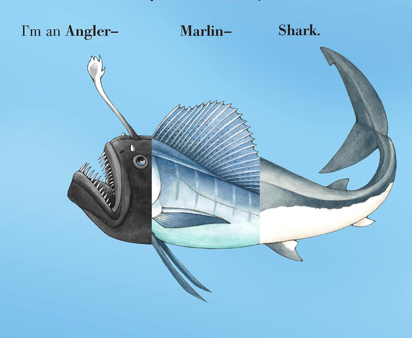 Flip-A-Fin