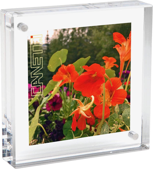 6x6 Original Magnetic Frame