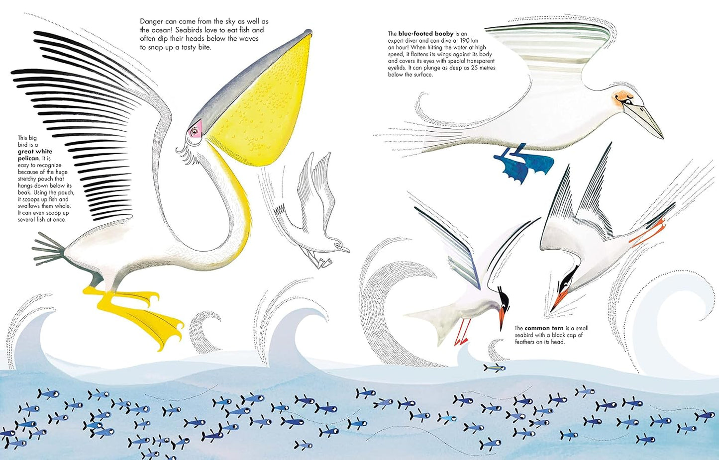 1001 Fish