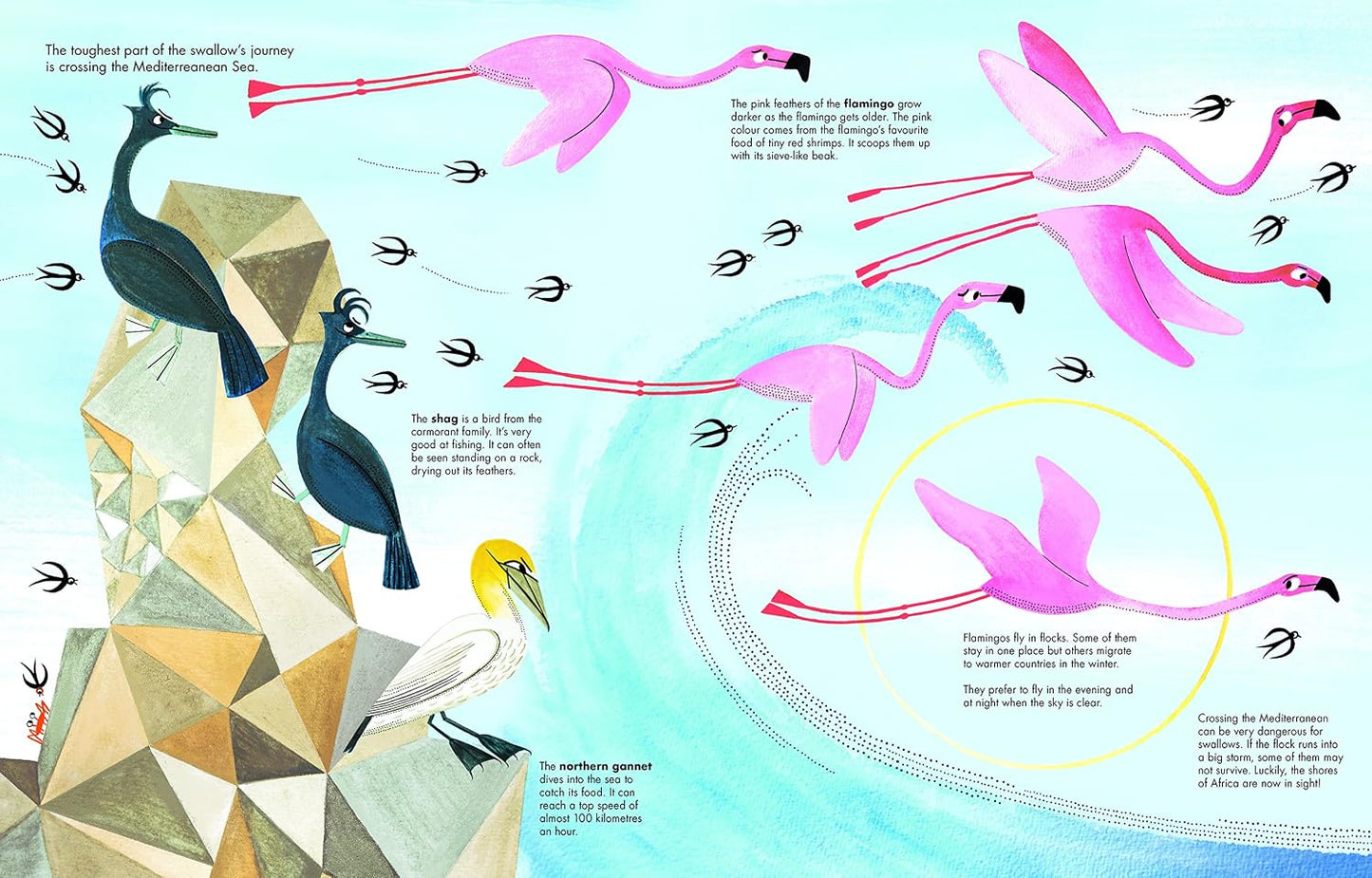 1001 Birds