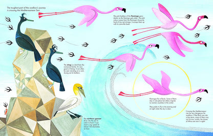 1001 Birds