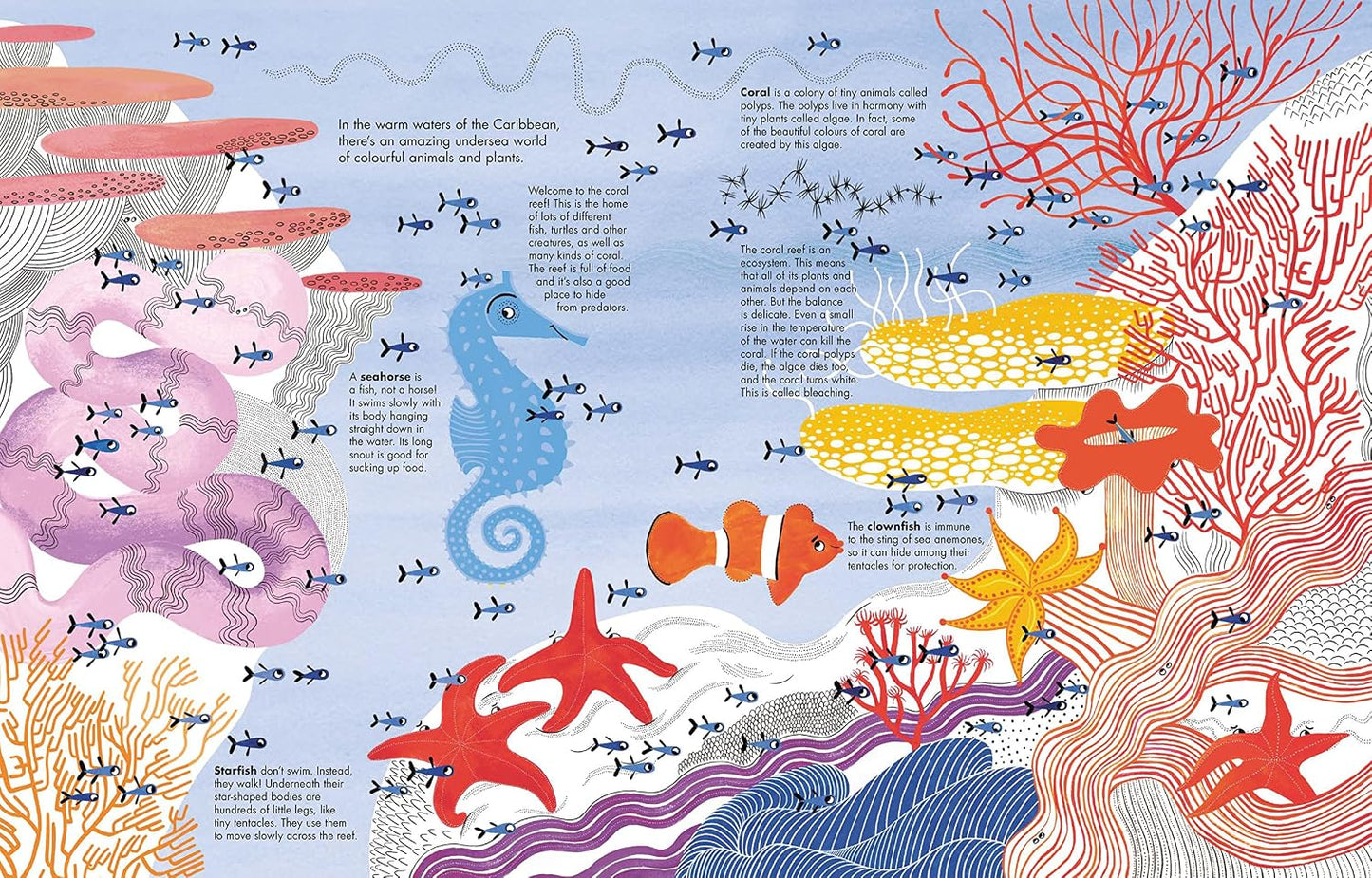 1001 Fish