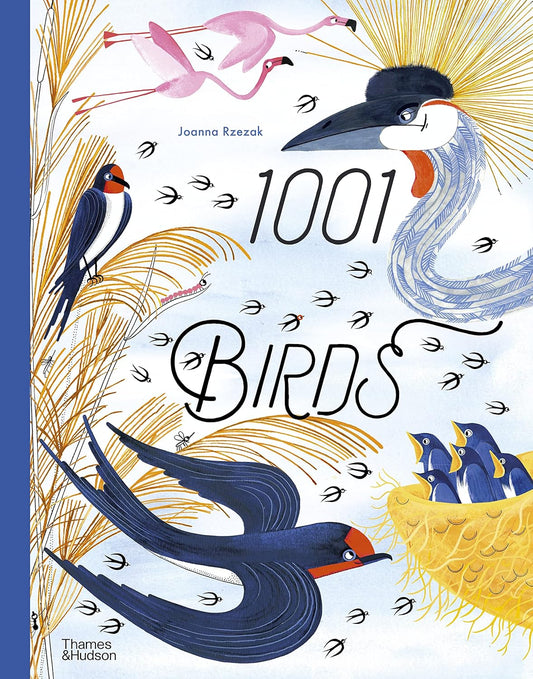 1001 Birds