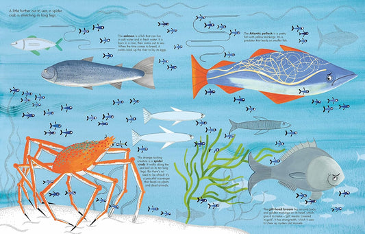 1001 Fish