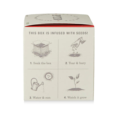 Red Poppy Plant the Box Candle