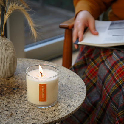 Half Moon Pumpkin Plant the Box Candle