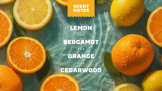 Dr. Squatch Invisible Glide Deodorant - Summer Citrus