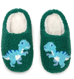 Dinosaur Kids Slippers