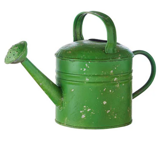 Small Green Metal Watering Can