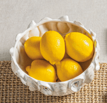 Oyster Ceramic Bowl