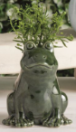 Figural Animal Bud Vase - Frog