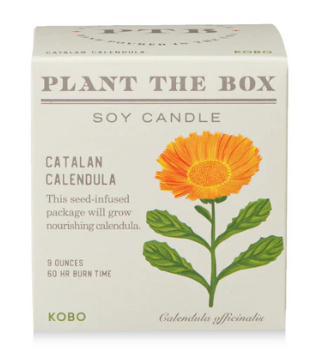 Catalan Calendula Plant The Box Candle