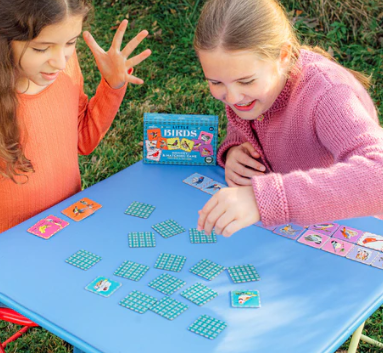 Birds Little Matching Game
