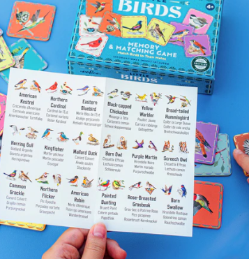 Birds Little Matching Game