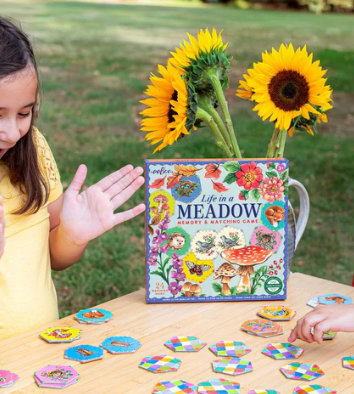 Life in a Meadow Matching Game