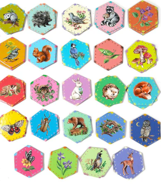 Life in a Meadow Matching Game
