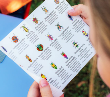 Beetles Little Matching Game
