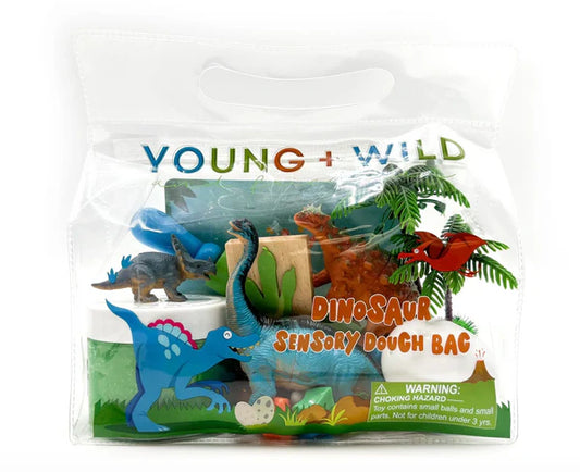 Sensory Dough Bag - Dinosaur