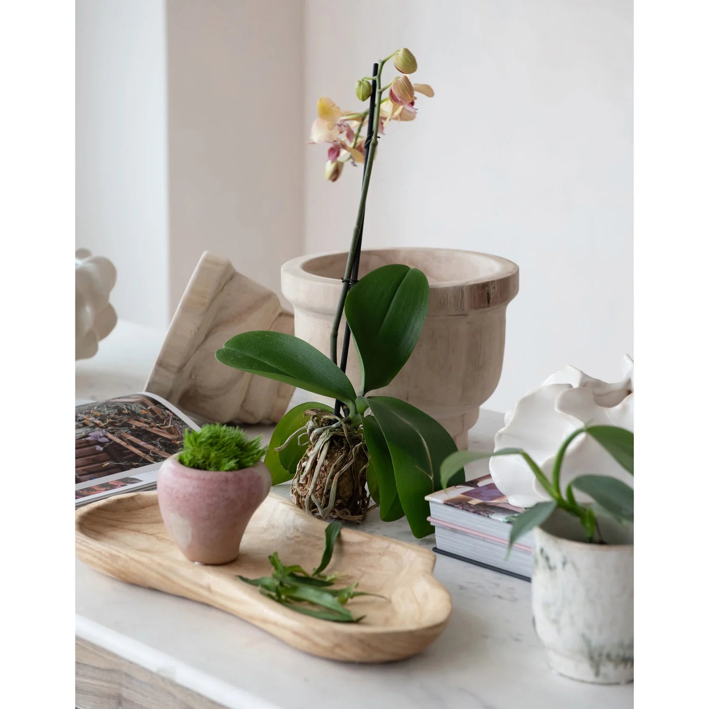 Paulownia Wood Planter Set of 2