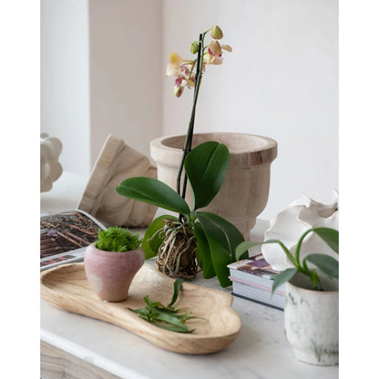 Paulownia Wood Planter Set of 2
