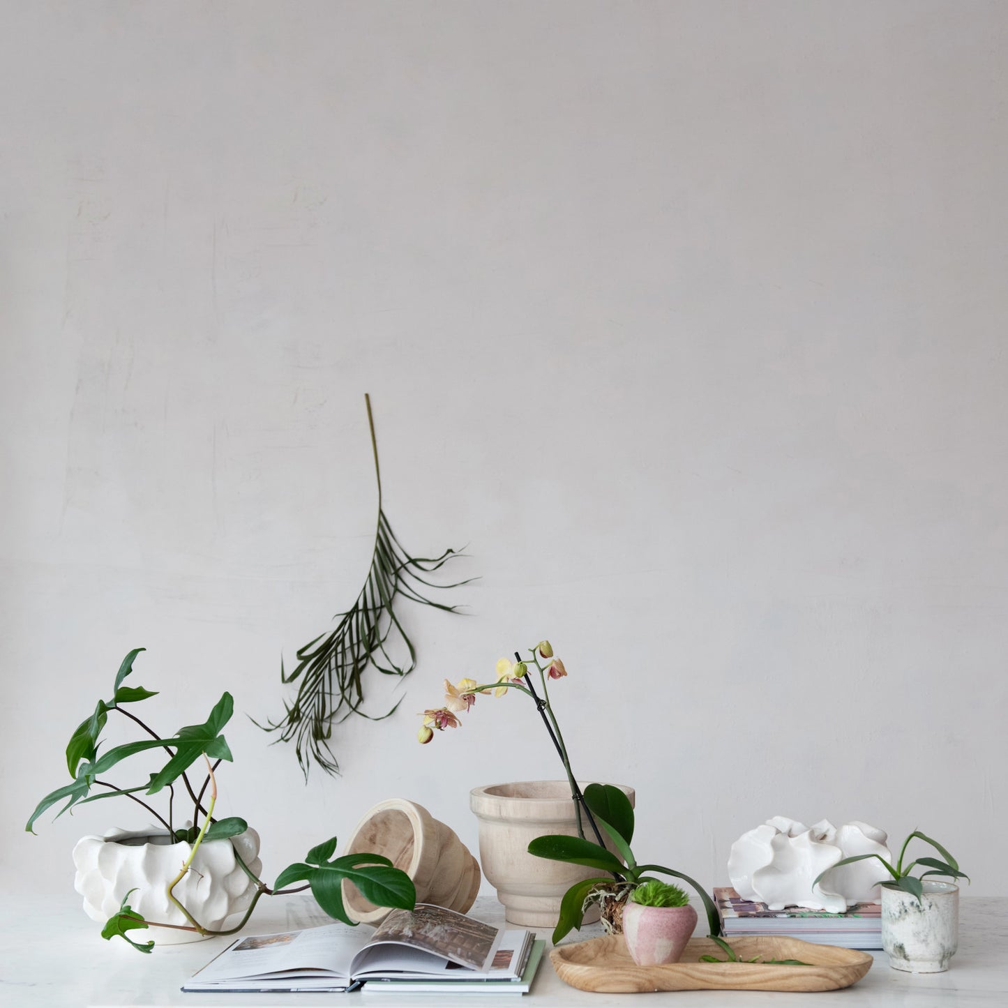 Paulownia Wood Planter Set of 2