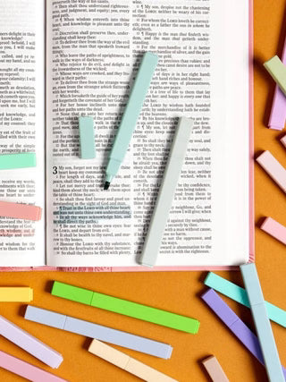 Faithful Highlights – Bible Study Highlighter Set of 20 Colors