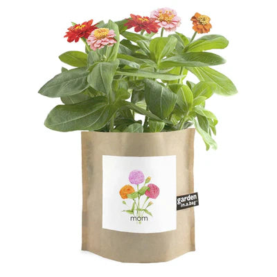 Garden in a Bag - Mom