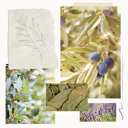 Olive Leaf Home Fragrance Mist