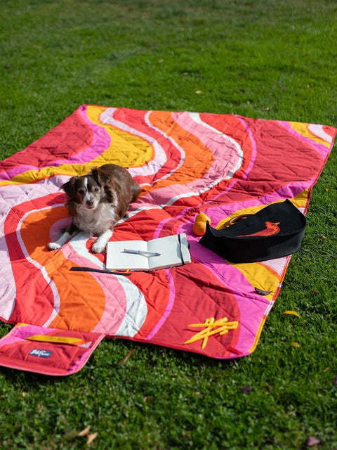 Picnic Blanket - Pink Wave