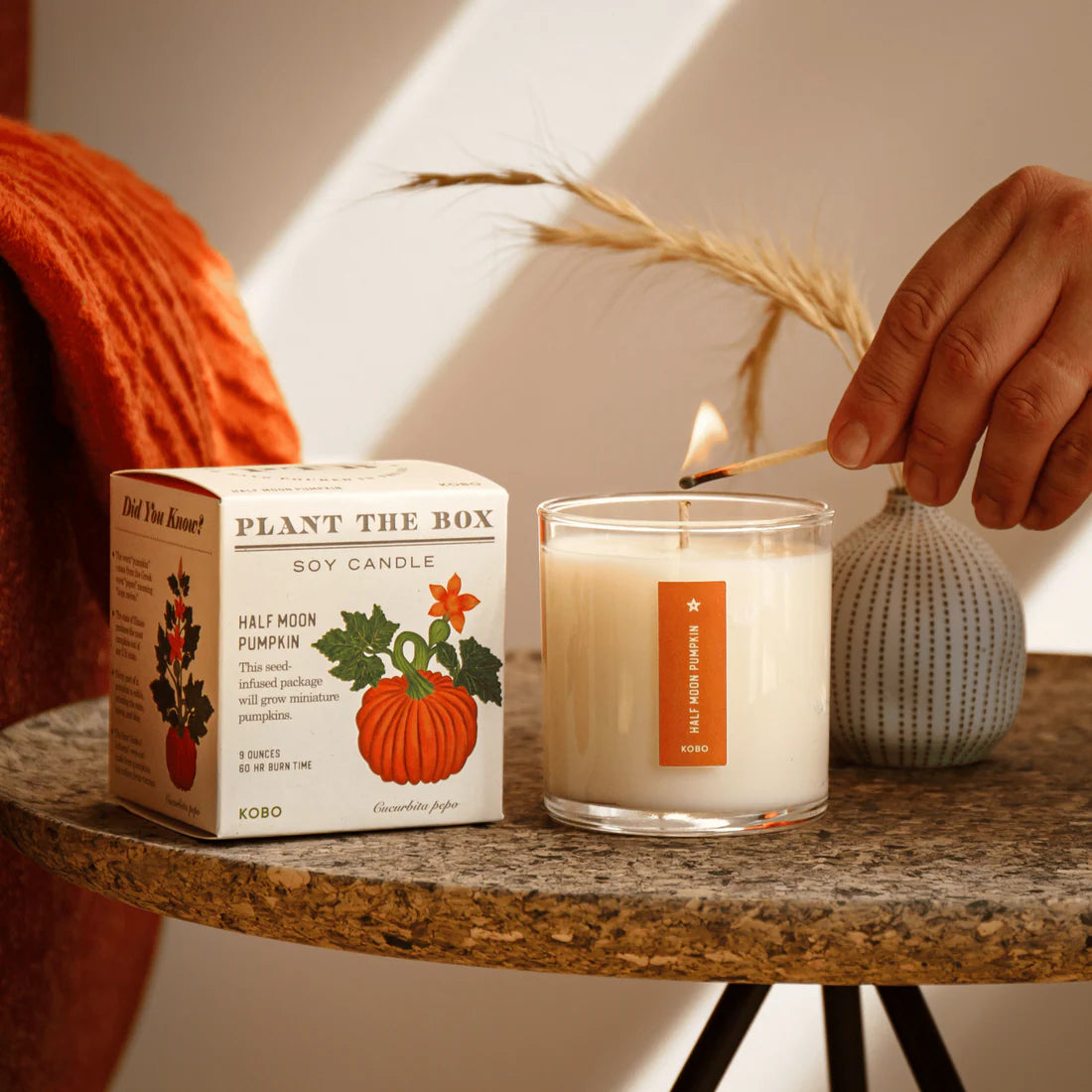 Half Moon Pumpkin Plant the Box Candle