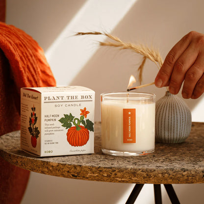 Half Moon Pumpkin Plant the Box Candle
