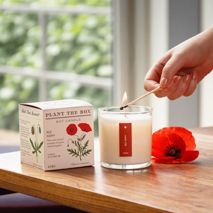Red Poppy Plant the Box Candle